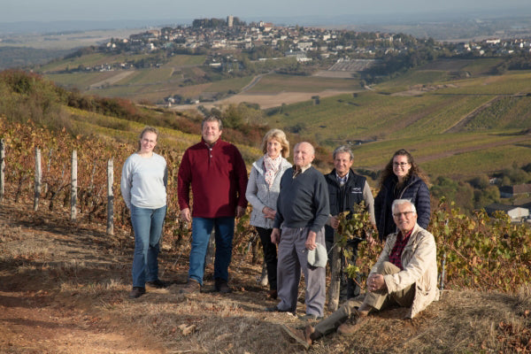 People standing in a vineyard among grapevines