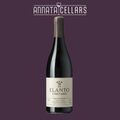 Pinot Noir wine bottle with dark label and cream foil, tall black capsule