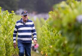 Tapanappa Pinot Noir vineyard scene with man in striped shirt walking