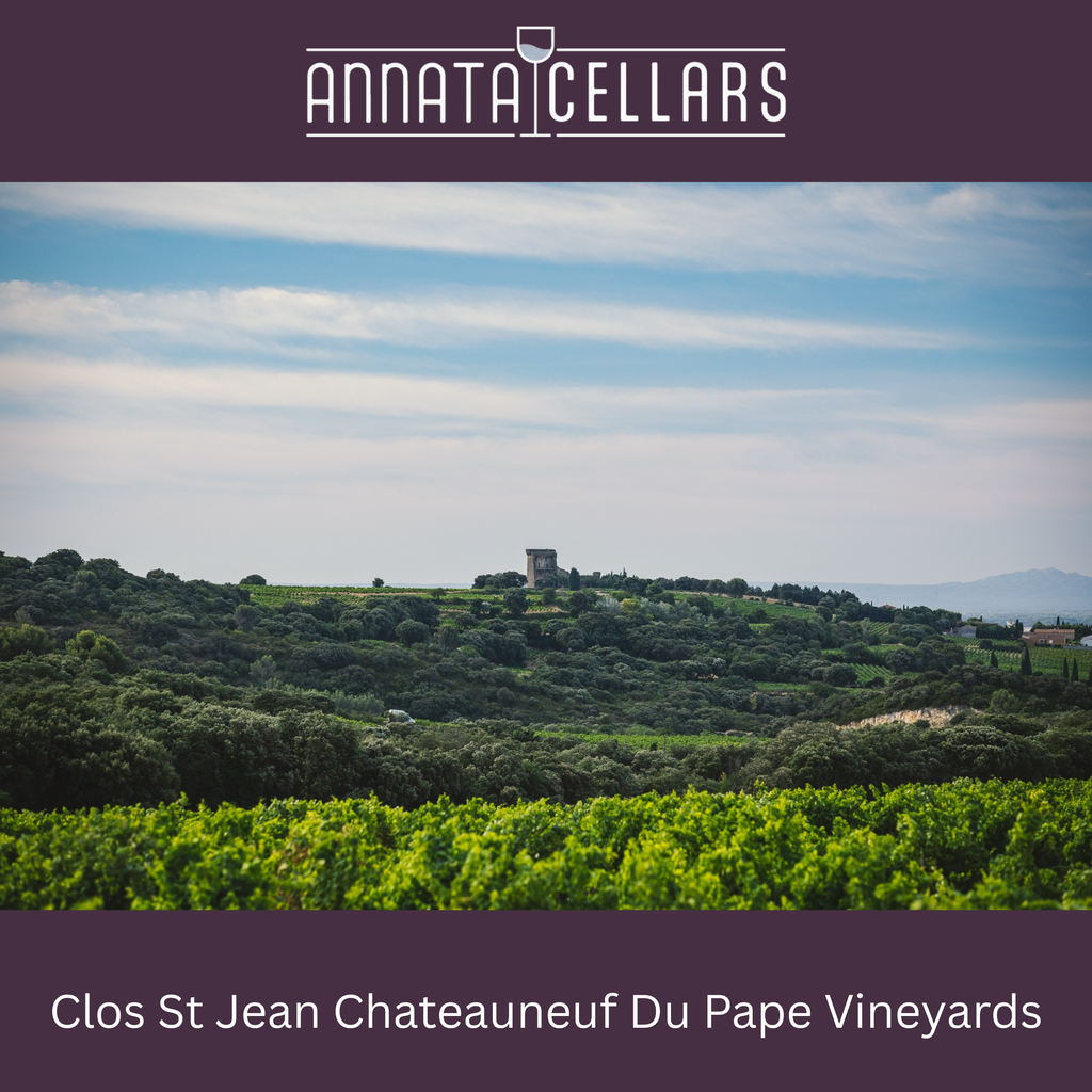 Châteauneuf-du-Pape red wine vineyard hillside view with lush green vines