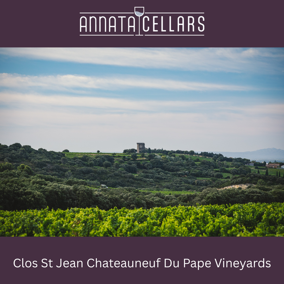 Châteauneuf-du-Pape red wine vineyard hillside view with lush green vines