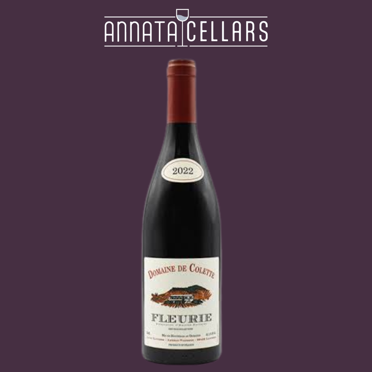 Wine bottle with cork; label: 2022 Domaine de Colette Fleurie