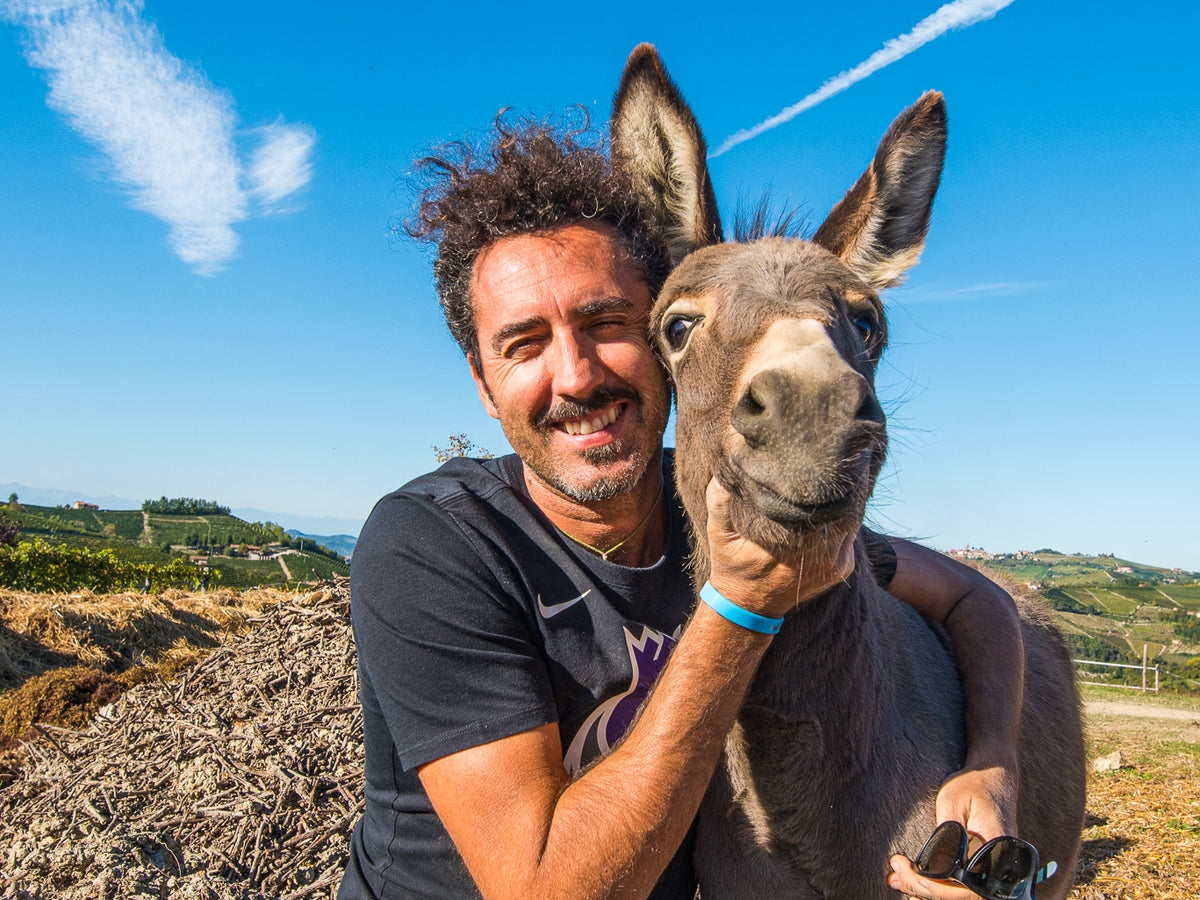 Wine brand campaign: man hugging a dog in an outdoor landscape