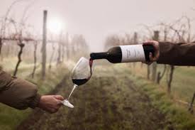 Shiraz wine bottle pouring into a glass in a vineyard