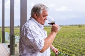 Man tasting red wine from a glass in a vineyard