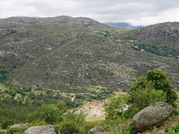 Rocky mountain valley landscape with green vegetation and winding slopes