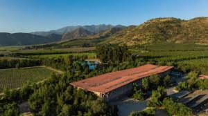 Carmenere wine vineyard and winery roof over green hills landscape