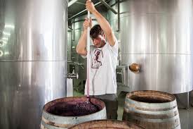 Winery worker holding a bottle near barrels in a stainless cellar