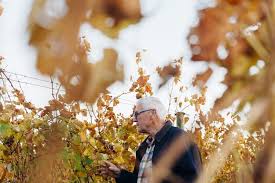 Winemaker standing among grapevines in an outdoor vineyard