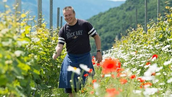 Vineyard worker tending red and yellow flowers near green vines and hills