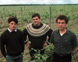 Three men standing among grape vines in a vineyard field