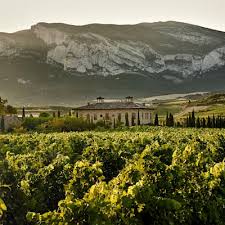 Gran Reserva wine vineyard landscape with rows of grapevines