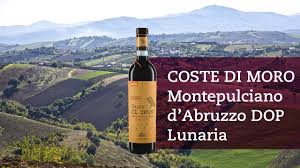Wine bottle with Lunaria label reading Coste di Moro Montepulciano d’Abruzzo