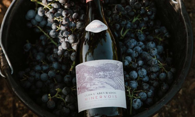 Wine bottle label partially covered in dark blue grapes in a wooden vat